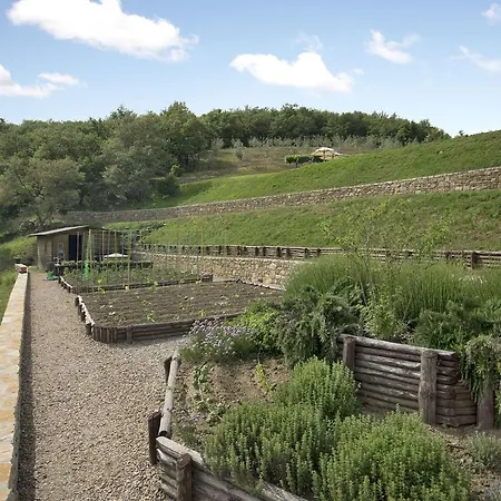 La Maccinaia By Salogi Monte Benichi