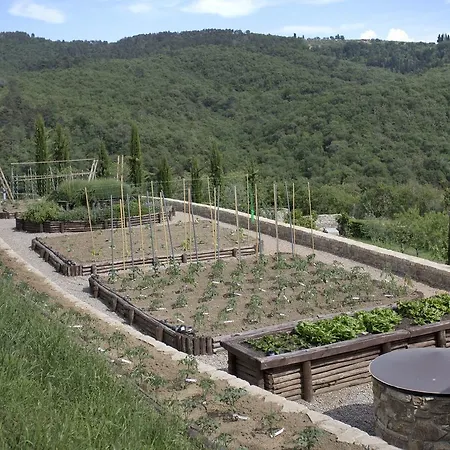 Villa La Maccinaia By Salogi