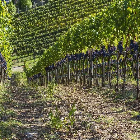 La Maccinaia By Salogi Villa